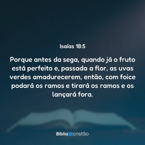 Isaías 18:5