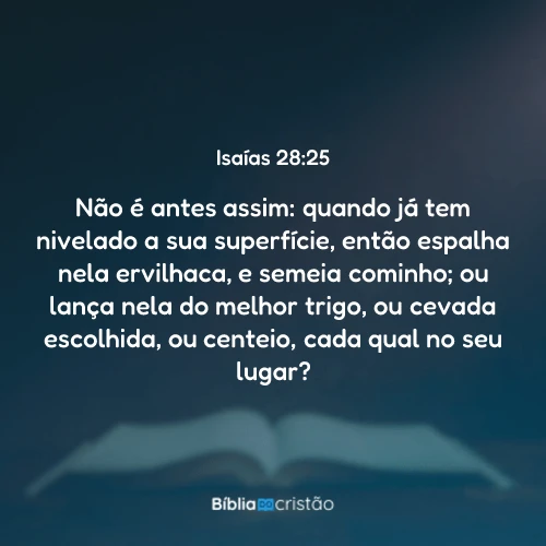 Isaías 28:25