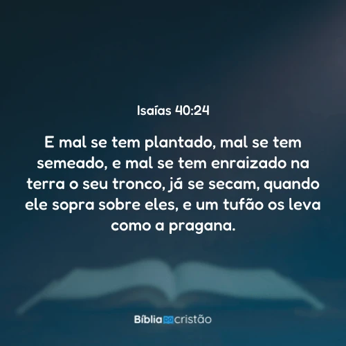 Isaías 40:24