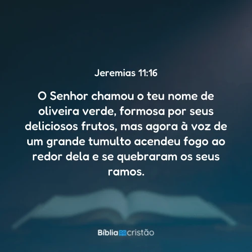 Jeremias 11:16