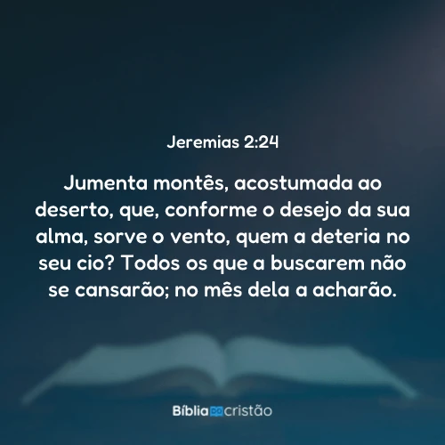 Jeremias 2:24