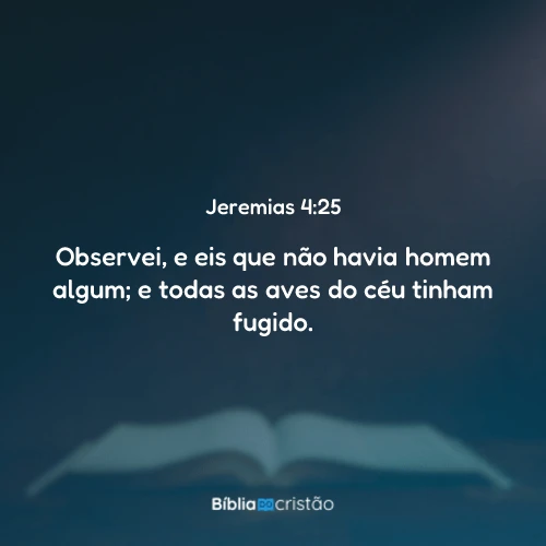 Jeremias 4:25
