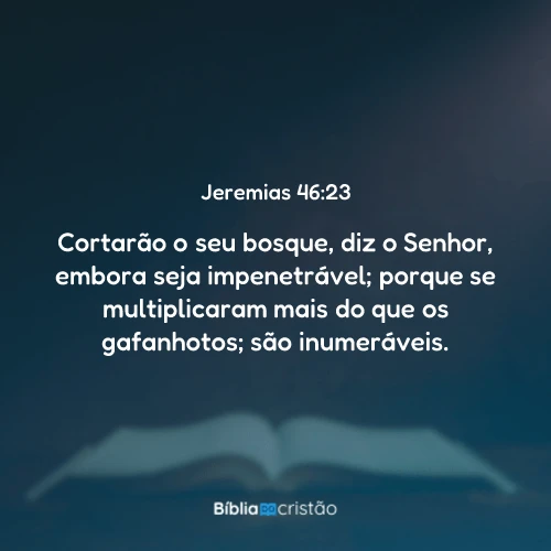 Jeremias 46:23