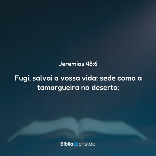 Jeremias 48:6