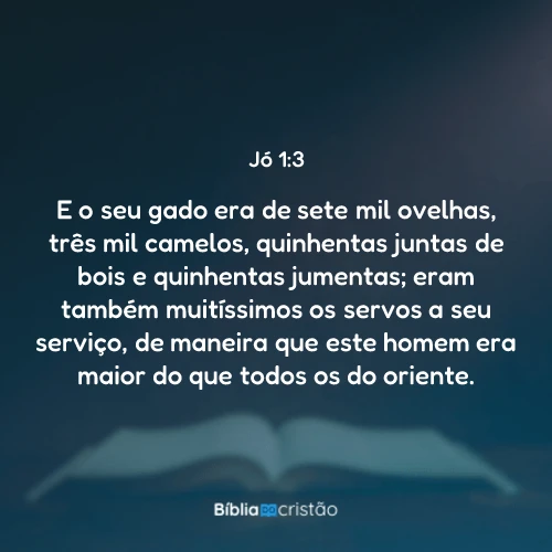 Jó 1:3
