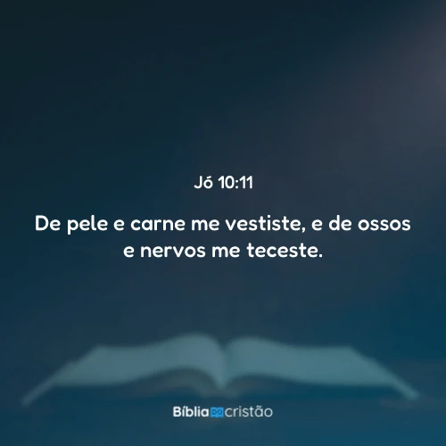Jó 10:11