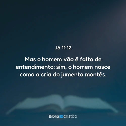 Jó 11:12