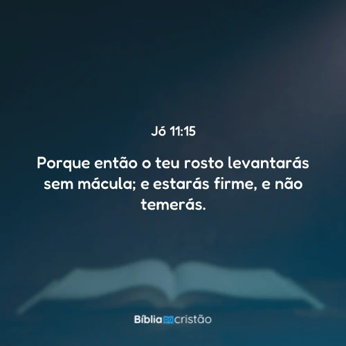 Jó 11:15