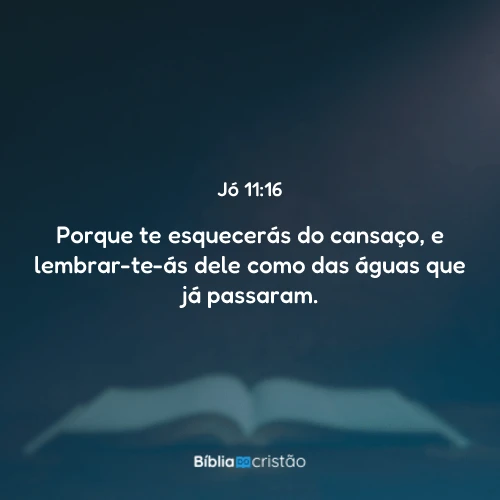 Jó 11:16