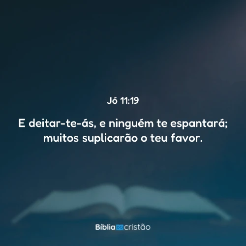 Jó 11:19