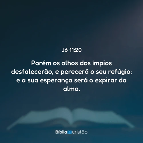 Jó 11:20
