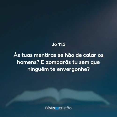 Jó 11:3