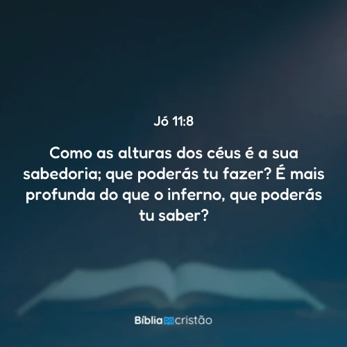 Jó 11:8