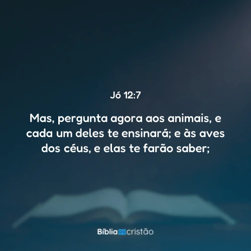 Jó 12:7