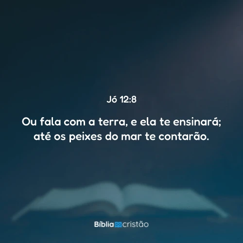 Jó 12:8