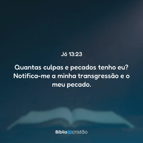Jó 13:23