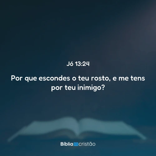 Jó 13:24