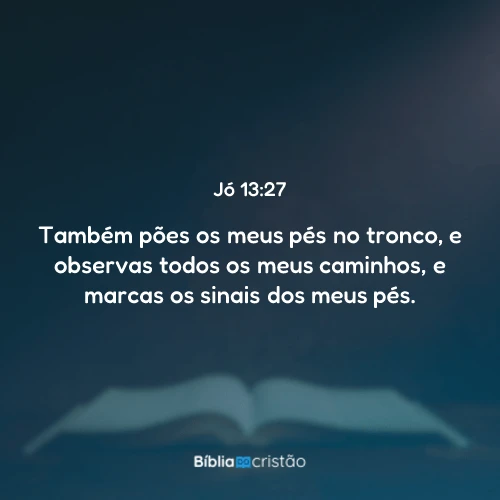 Jó 13:27