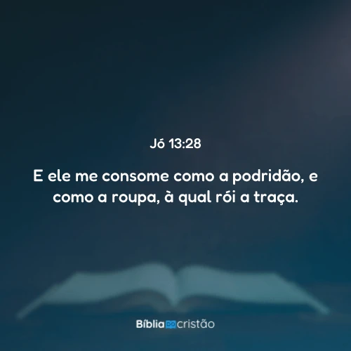 Jó 13:28