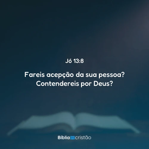Jó 13:8