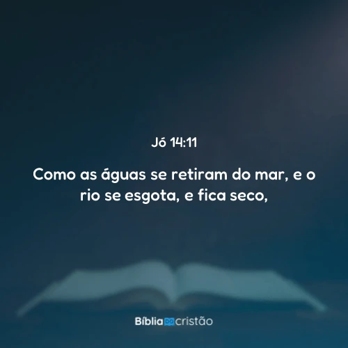 Jó 14:11