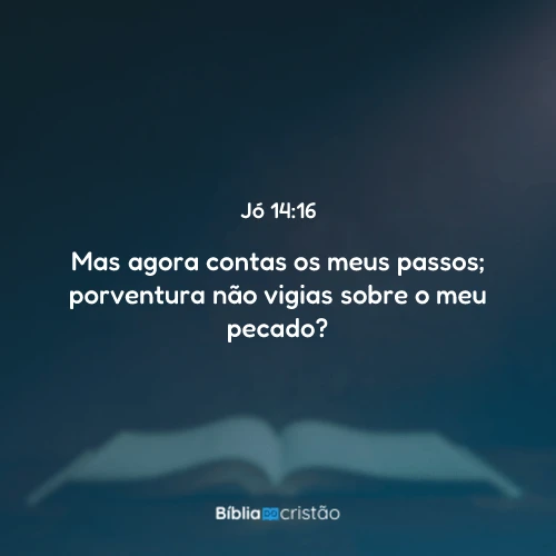 Jó 14:16