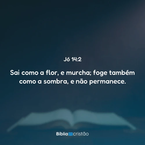 Jó 14:2