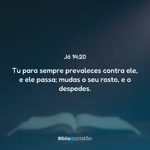 Jó 14:20
