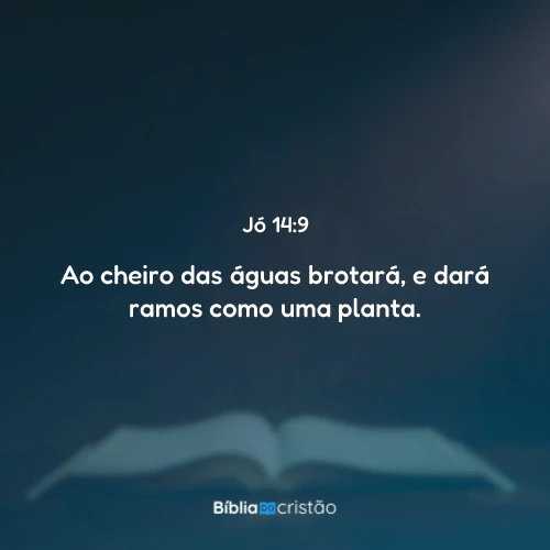 Jó 14:9