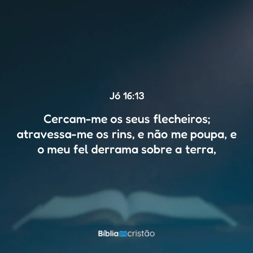 Jó 16:13