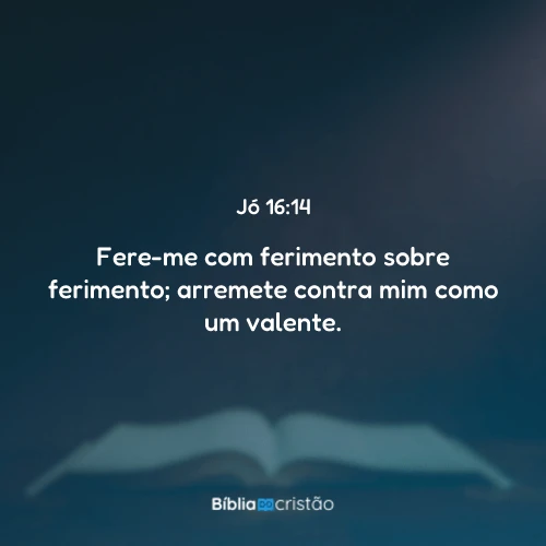 Jó 16:14
