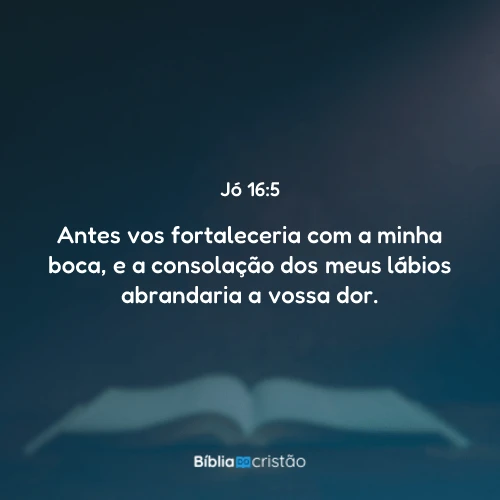 Jó 16:5