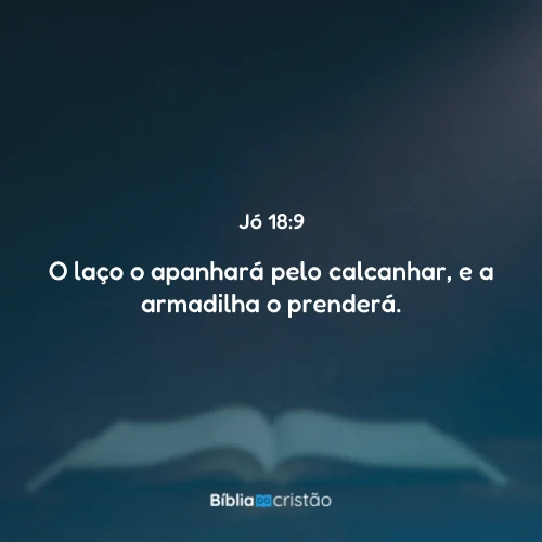 Jó 18:9