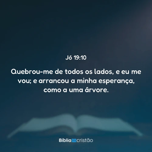 Jó 19:10