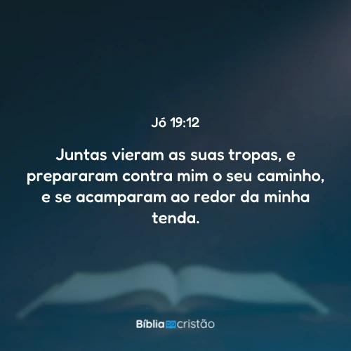 Jó 19:12