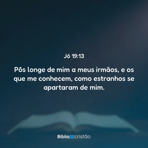 Jó 19:13