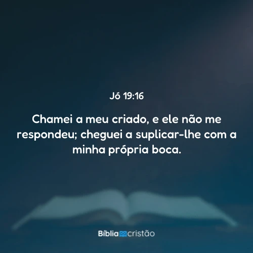 Jó 19:16