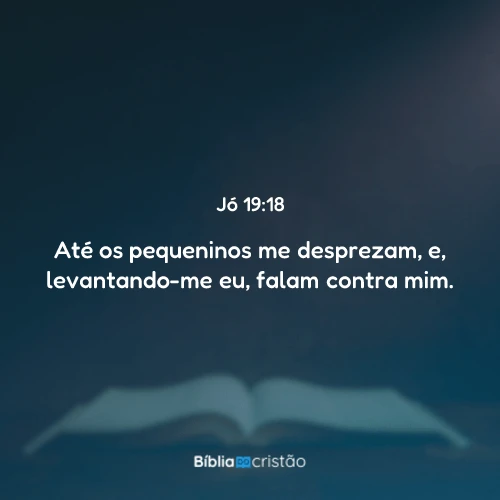 Jó 19:18