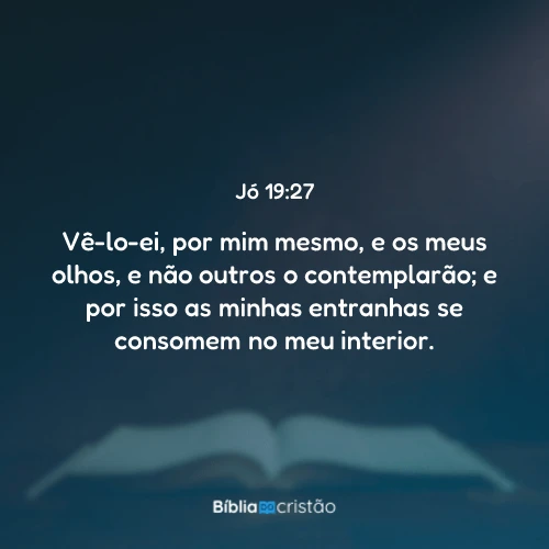 Jó 19:27