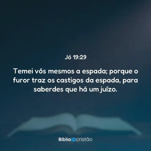 Jó 19:29