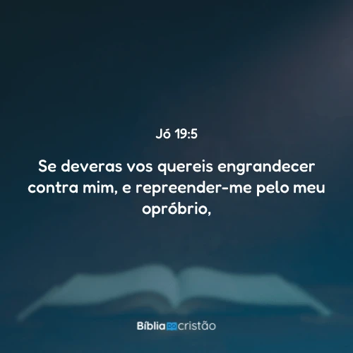 Jó 19:5