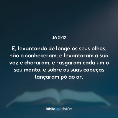 Jó 2:12