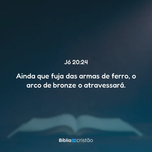 Jó 20:24