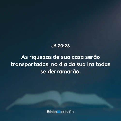 Jó 20:28