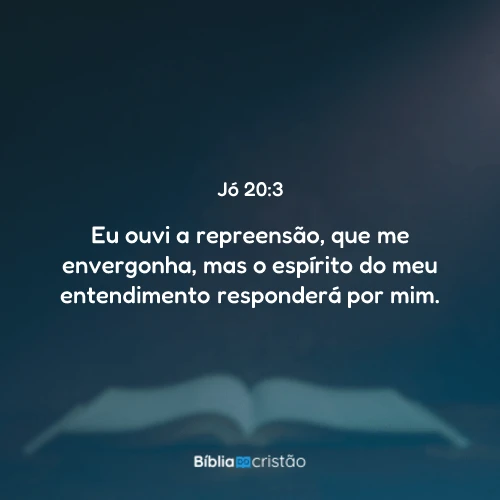 Jó 20:3