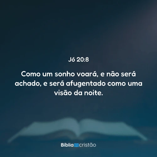 Jó 20:8