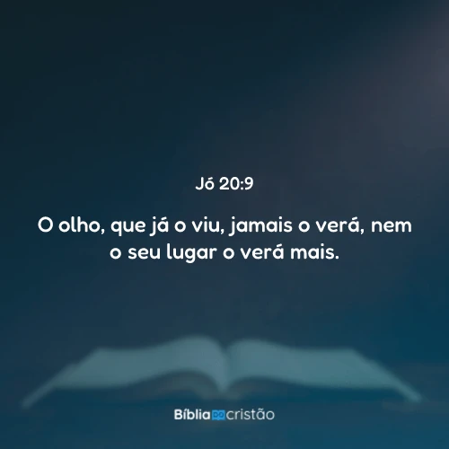 Jó 20:9