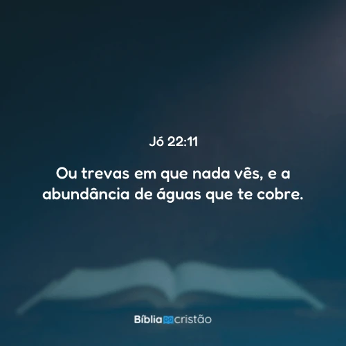 Jó 22:11