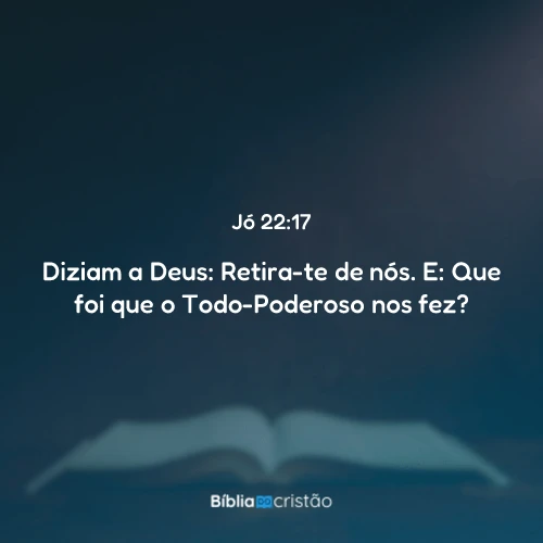 Jó 22:17