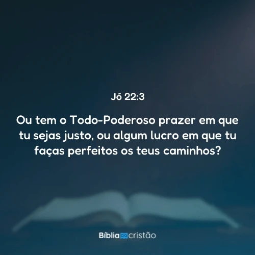 Jó 22:3